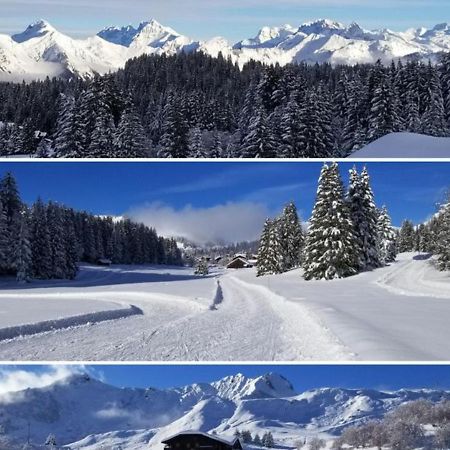 studio cabine Praz de Lys Taninges Exterior foto