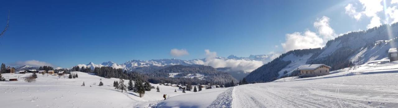 studio cabine Praz de Lys Taninges Exterior foto