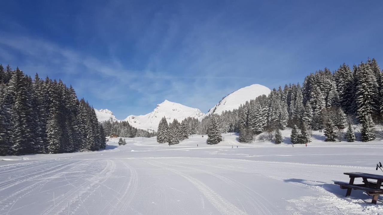 studio cabine Praz de Lys Taninges Exterior foto