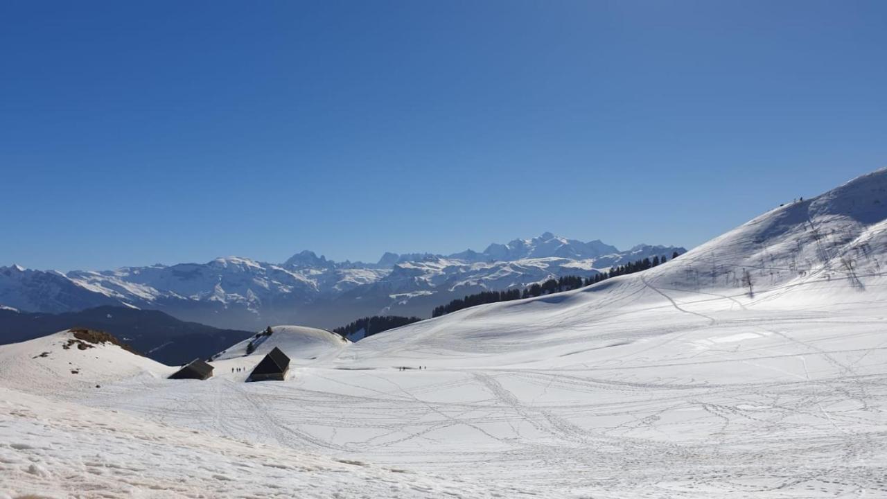 studio cabine Praz de Lys Taninges Exterior foto