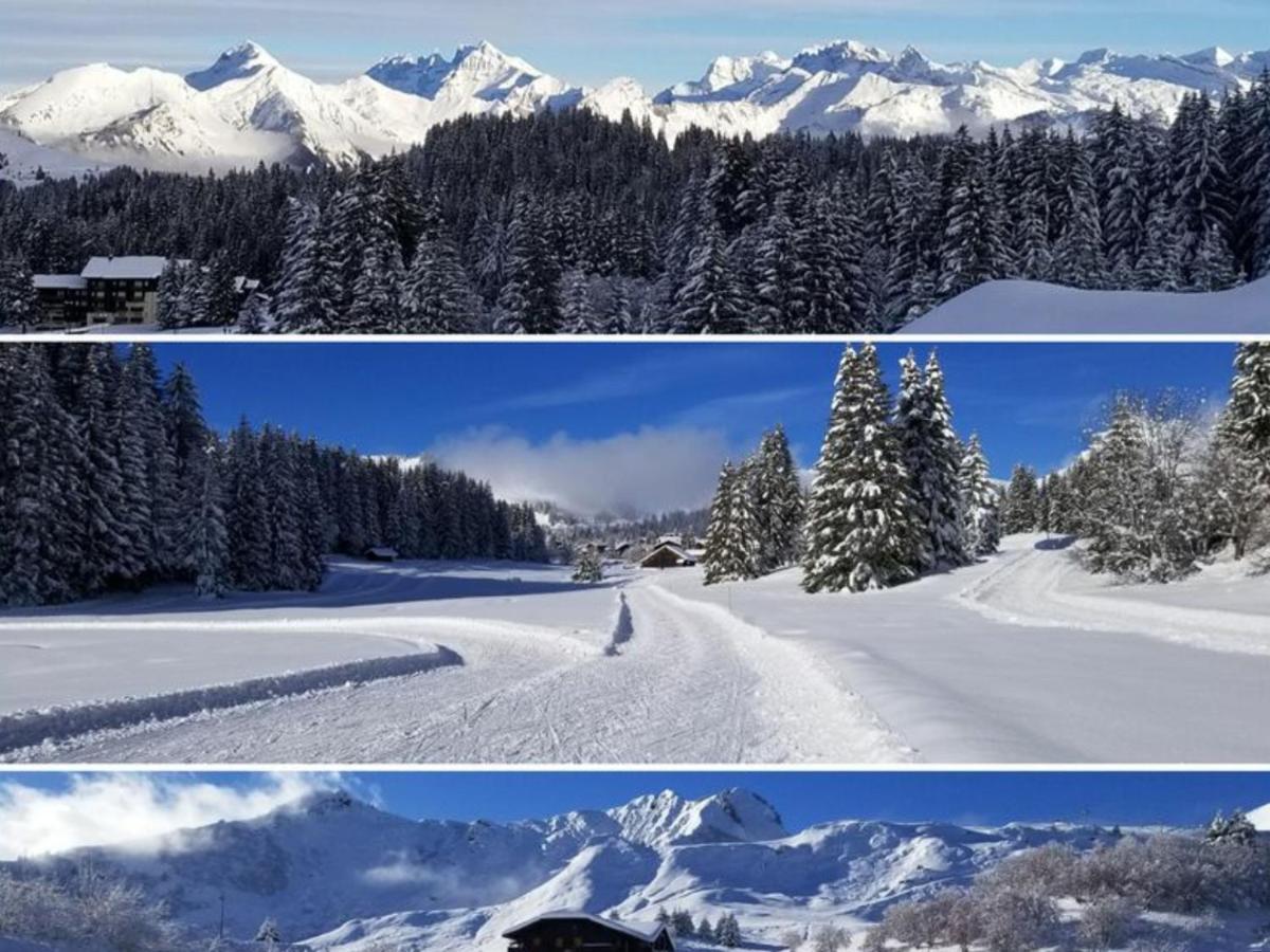 studio cabine Praz de Lys Taninges Exterior foto