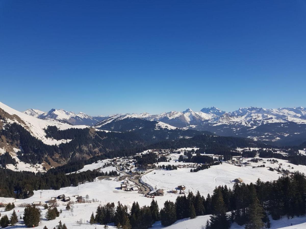studio cabine Praz de Lys Taninges Exterior foto