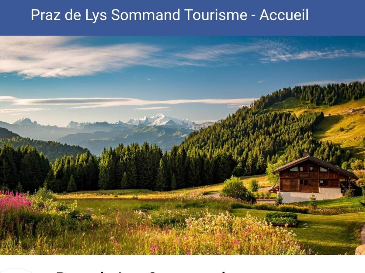 studio cabine Praz de Lys Taninges Exterior foto